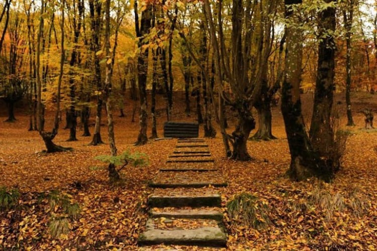 7 Stunning Autumn Destinations in Iran To See Fall Colors